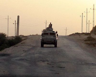 Mass grave reveals scale of unlawful killings by Egyptian army in Sinai, say campaigners