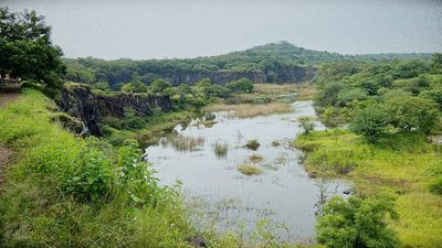 The fight for Pune’s green heart: A city’s soul vs 6 minutes of saved commute