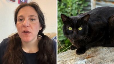 ‘I was scared’: Animal communicator conducts session with cat. Then it tells her she’s evil. Here’s why the owner says its accurate