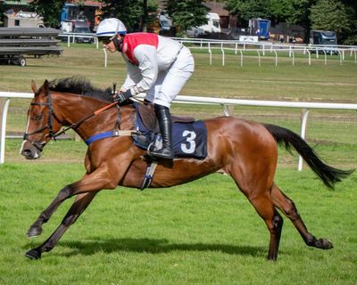 Fixing cases a reminder of skulduggery that has stained horse racing