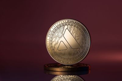 This Penny Stock Is Betting Big on the Avalanche Crypto. Should You Buy Shares Here?