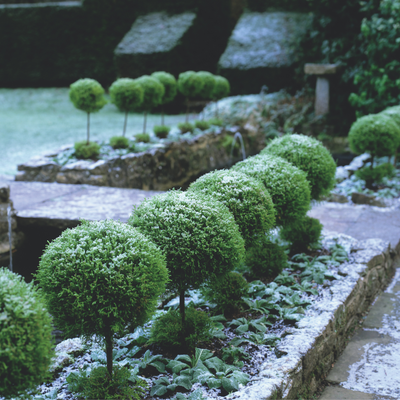 7 things you'll regret not bringing indoors before the first frost hits