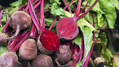 How to grow bigger beets – 5 things you must do to avoid disappointment come harvest time