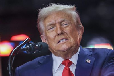 Trump's tariffs are bringing in a 'very significant' amount of revenue, top analyst says: Roughly $350 billion a year