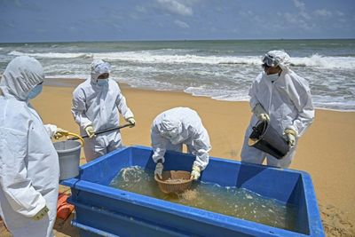 Singapore Firm Rejects $1bn Sri Lankan Pollution Damages