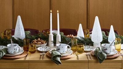 Can't face the festive frenzy? I'm staying stress-free by shopping my Christmas tableware early – West Elm's drop has landed at the perfect time
