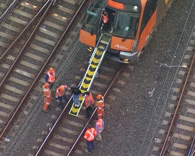 Wire that fell on Sydney train in May identified as risky in 2020 – then inspected with binoculars