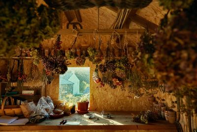 The best foodie holidays for autumn: from pumpkin picking to truffle hunting