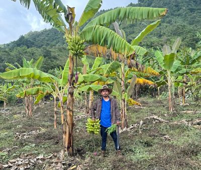 Ice targeted me for organizing, says farm worker who left US for Mexico