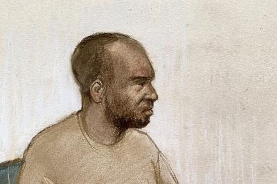 Migrant who sexually assaulted girl, 14, wants to be deported, court told
