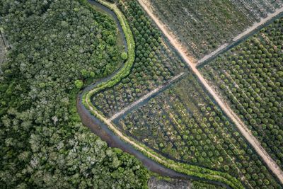 EU Proposes New Delay To Anti-deforestation Rules