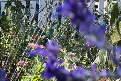 A look at the best times of day for watering, planting, pruning and other garden tasks