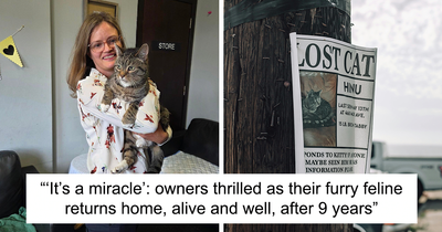 “It Can’t Be Him!”: Owners Astonished When Cat Turns Up Alive And Well After Being Gone For 9 Years