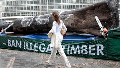 Commission claims IT glitch forced second delay to EU deforestation rules