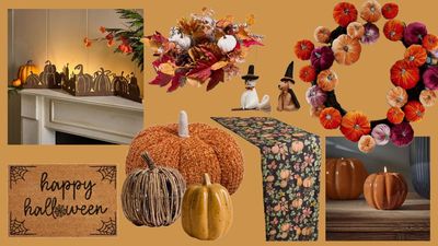 Unsure about Halloween decorations? These hauntingly beautiful finds will persuade you otherwise