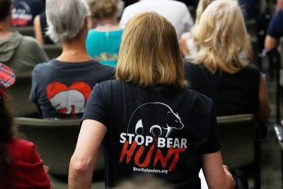 More than 160,000 apply for Florida's first bear hunt in a decade, wildlife officials say