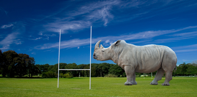 Fantasy rugby: how the animal kingdom could help you form a winning team