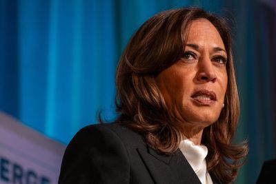 Kamala Harris endorses Zohran Mamdani without saying his name: 'I support the Democrat in this race'