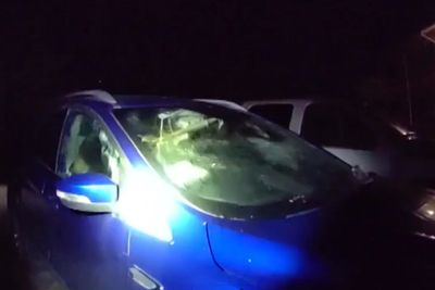 ‘Incessant honking’ leads Alaska cops to surprising discovery in SUV