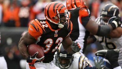 Former Bengals RB Rudi Johnson Dies at 45