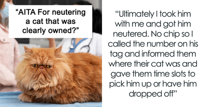 Lady “Kidnaps” Cat And Neuters It, Shocked Pet Owners Wreck Her Reputation Online