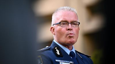 New state police boss didn't have to be 'mistake-free'