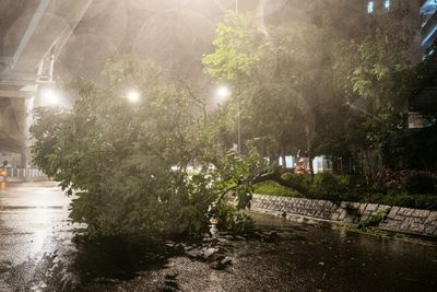 14 Killed By Lake Burst In Taiwan As Typhoon Ragasa Wreaks Havoc