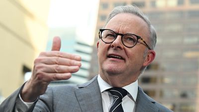 Scientists 'dismayed' as PM to speak on climate target