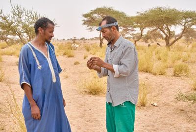 ‘A gift from heaven’: the TikTok traders of Mauritania’s meteorites