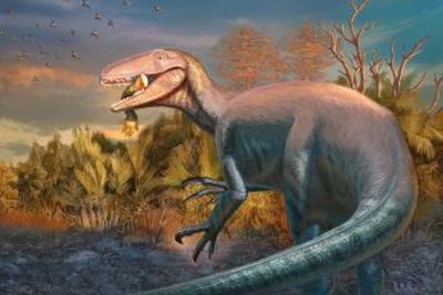 New ‘apex predator’ dinosaur fossil unearthed with remains of crocodile prey still in mouth