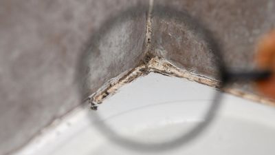 This one kitchen gadget will help reduce mold in your bathroom — and it’s a whizz to use