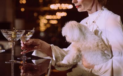 Best early Black Friday alcohol deals: Beer, wine, spirits discounts in the UK