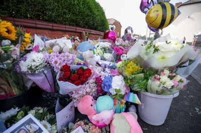 ‘Difficult’ to understand how one person caused so many injuries, inquiry hears