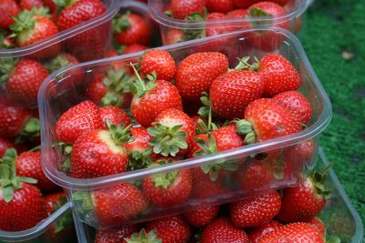 The three foods found to raise pesticide levels in human body