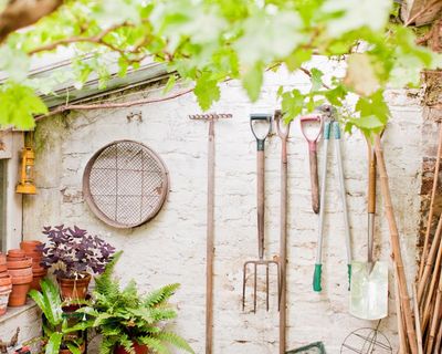 How to make your garden tools last longer: expert tips for tackling rust, grime and blunt blades