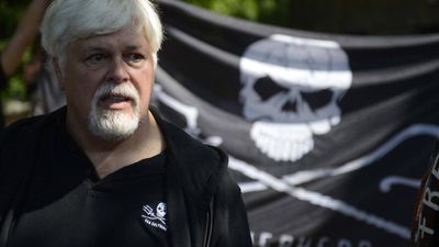 France rejects asylum claim by anti-whaling activist Paul Watson