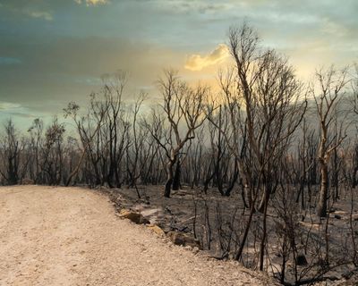 Australia’s horrifying climate future in four charts – and how we can avoid the worst