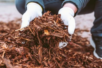 The Mulch Trick That Saves Water and Fights Weeds