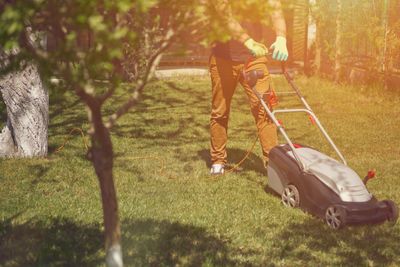 Why Your Garden Hates You After You Mow the Lawn