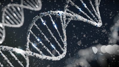 First Successful Gene Therapy for Huntington's Disease Slows Disease Progression by 75%