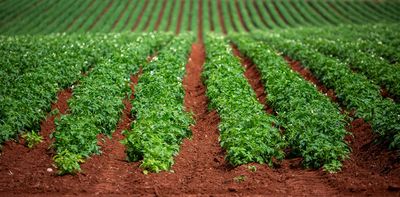 How researchers are making precision agriculture more affordable