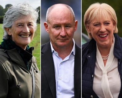 Irish presidential election candidates confirmed as three-way race begins
