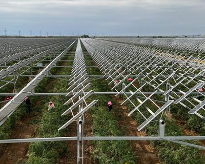 The Guardian view on the climate crisis: green energy is booming – but fossil fuels need to shrink too