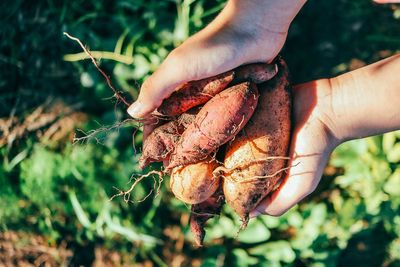 The fall comfort food packed with electrolytes that won’t spike your blood sugar