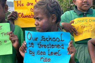 In First, China Unveils Specific Emissions Targets