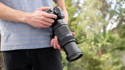 Sample photo and video gallery: How good is the new Panasonic Lumix S 100-500mm f/5-7.1 O.I.S. supertelephoto zoom?