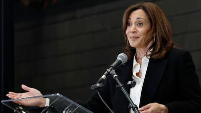 ‘Made me very sad’: Kamala Harris says picking gay VP with Black woman president would’ve been ‘real risk’