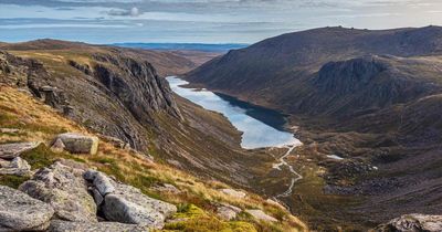 Cairngorms National Park to ban BBQs and campfires over sumer