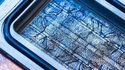 Microsoft unveils advanced AI cooling which lowers heat, cuts energy use - and could lead to more powerful data centers