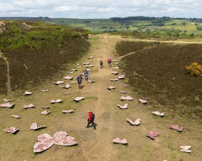 Fresh perspectives: the best outdoor art trails in the UK this autumn